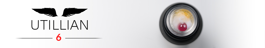 Utillian-Logo und Utillian 6